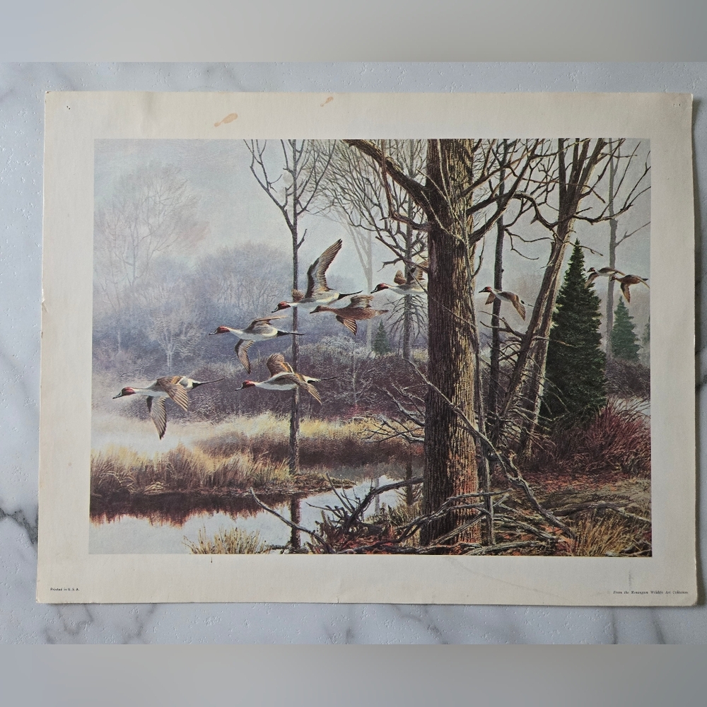 Vintage Remington Wildlife Art Print – Flying Ducks Rustic Nature Wall Decor